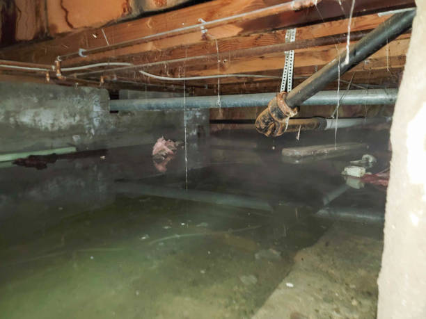 Best Basement water damage restoration  in Sykesville, MD