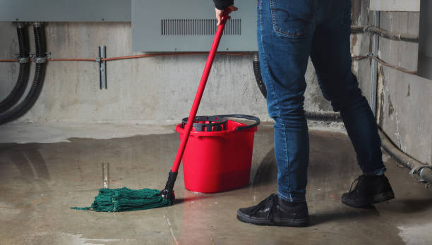 Best Carpet water damage restoration  in Sykesville, MD