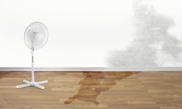 Local water damage restoration in Sykesville, MD