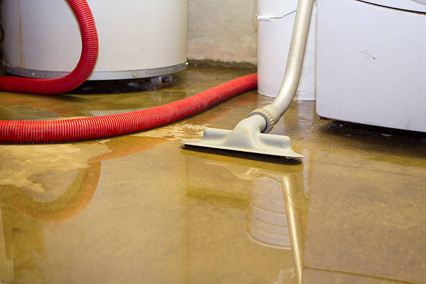 Best Professional water damage repair  in Sykesville, MD