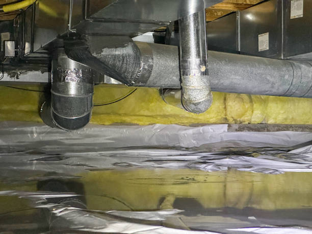 Best Local water damage restoration  in Sykesville, MD