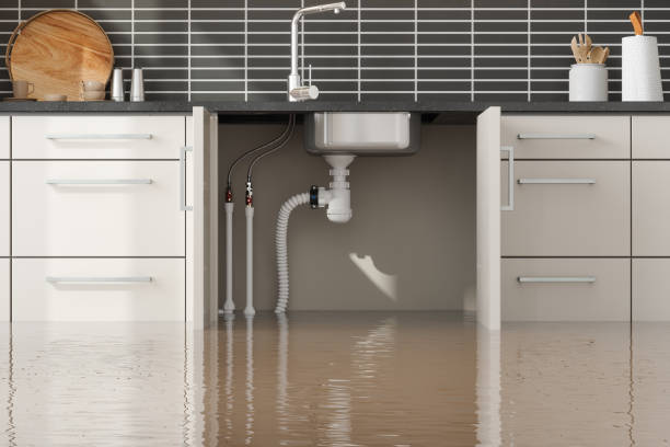 Reliable Sykesville, MD Water damage restoration Solutions
