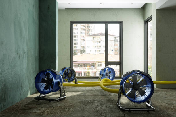 Best Fire Damage Restoration  in Sykesville, MD